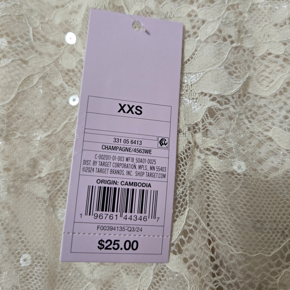 Wild Fable Champagne Lace Maxi Skirt W/Sequins, Size XXS, NWT - Picture 7 of 11